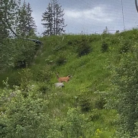 Aпартамент за гости Dream Grand Monastery-пампорово *