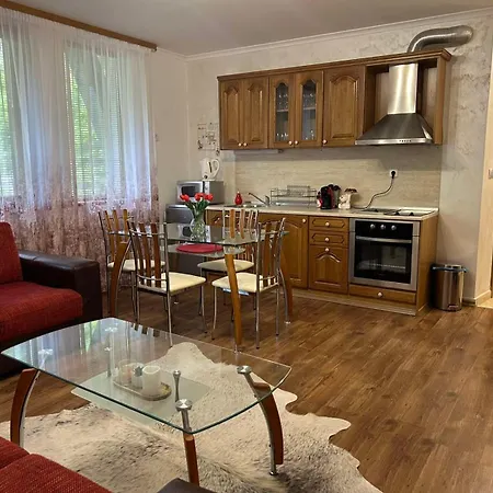 Apartmán Aпартамент за гости Dream Grand Monastery-пампорово