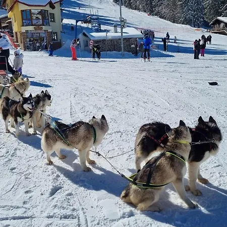 Apartmán Aпартамент за гости Dream Grand Monastery-пампорово *