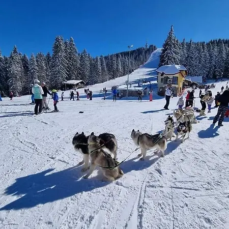 Aпартамент за гости Dream Grand Monastery-пампорово *
