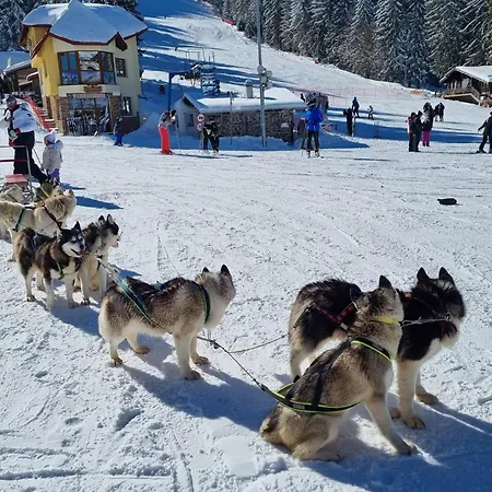 Aпартамент за гости Dream Grand Monastery-пампорово Pamporovo