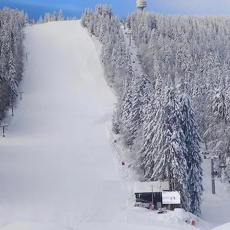 Aпартамент за гости Dream Grand Monastery-пампорово