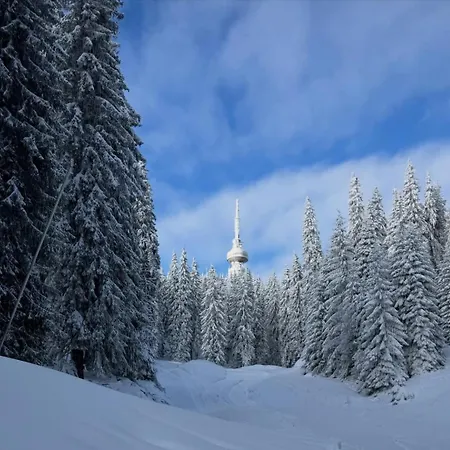 Aпартамент за гости Dream Grand Monastery-пампорово Appartement