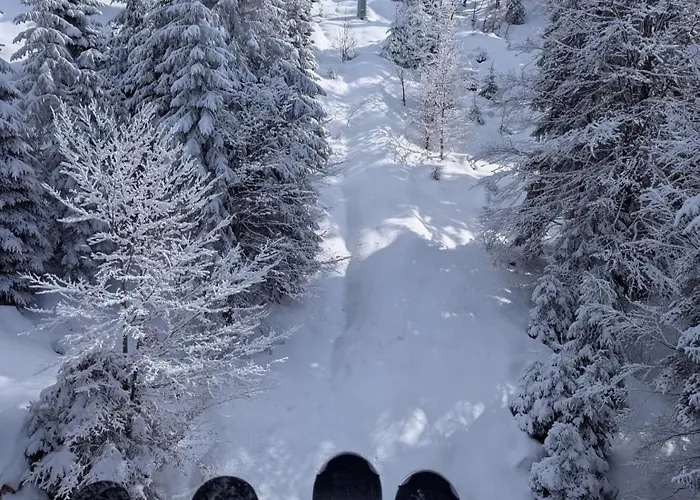 Апартаменты Aпартамент за гости Dream Grand Monastery-пампорово *