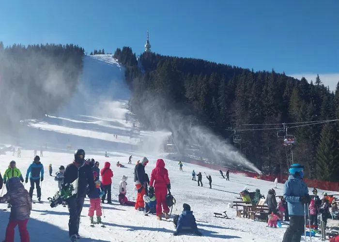 Апартаменты Aпартамент за гости Dream Grand Monastery-пампорово