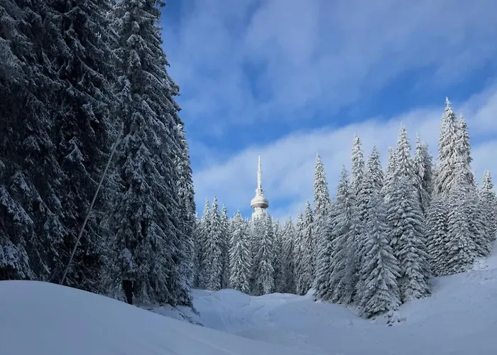 Aпартамент за гости Dream Grand Monastery-пампорово Апартаменты